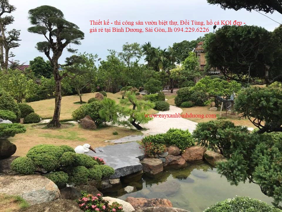 Thiết kế sân vườn đẹp giá rẻ ở Bình Dương 0942296226 - Thiết Kế Sân Vườn Bình  Dương